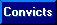 Convict Research Guide